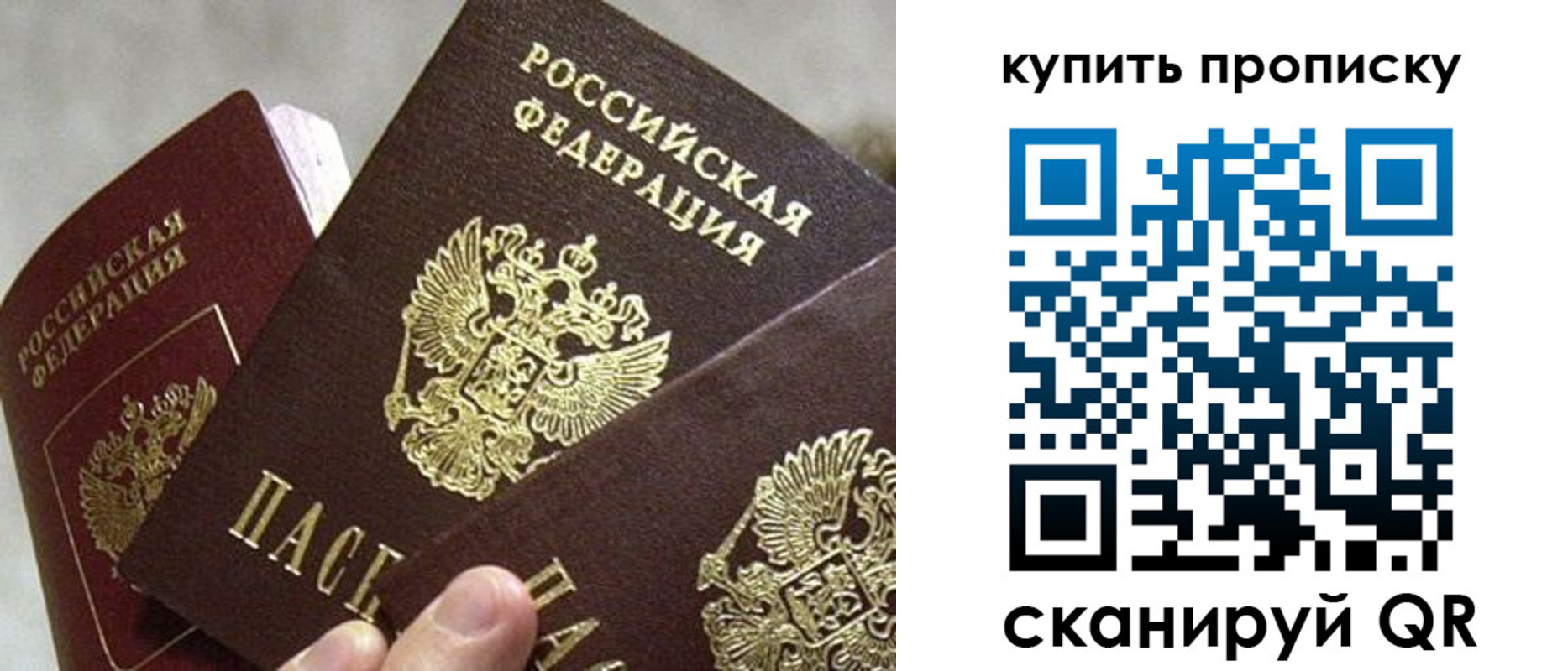 прописка для школы в Ярославской области